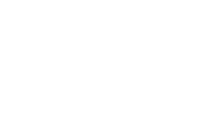 cdw website logo