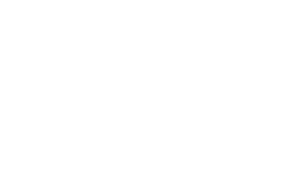qvantum website logo